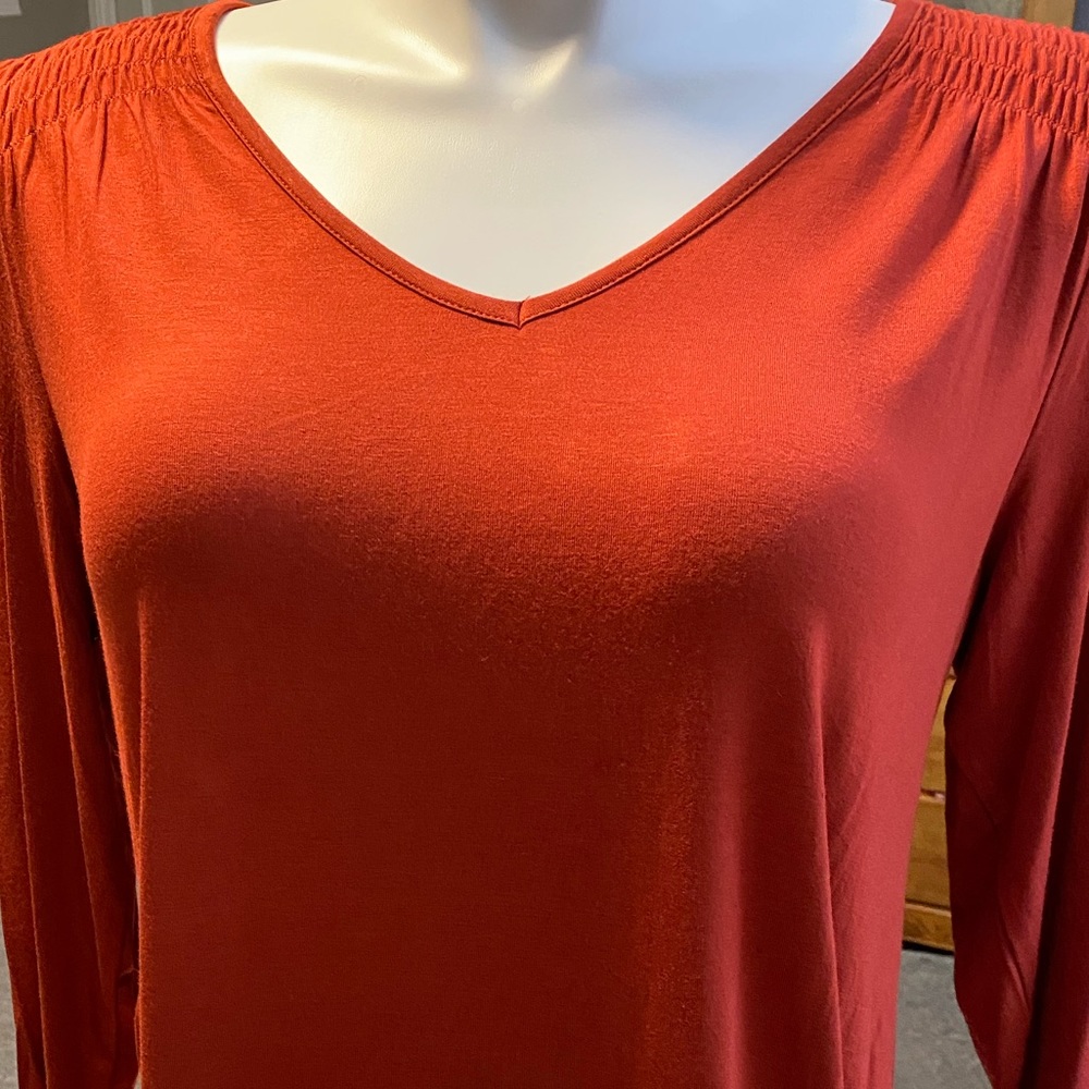 Dressbarn Burnt Orange Top